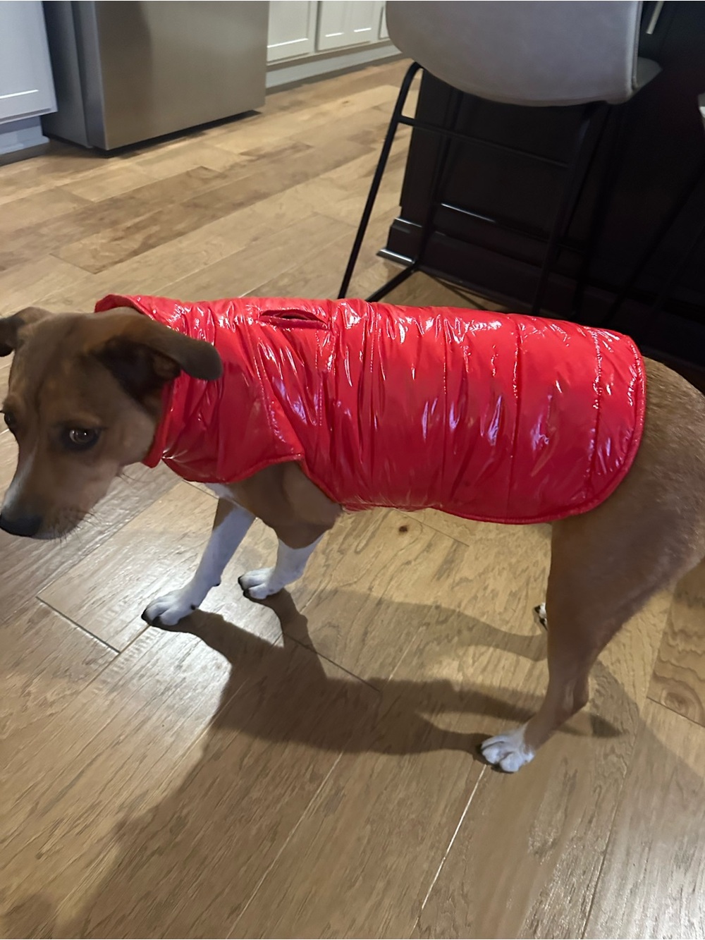 Red Quilted Dog Puffer Coat - Lightweight Warmth